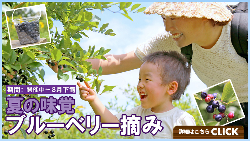 1a7e3202c054b652dedc167762a8ad95.png
