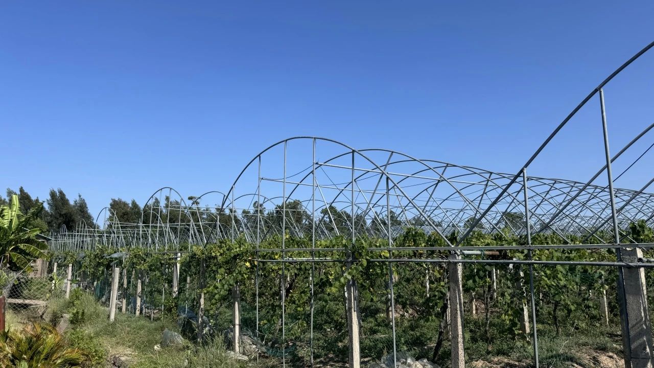 0d9d715ae154b110ede2b00087eb8ba7.jpg