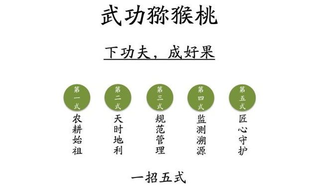1719034160.jpg