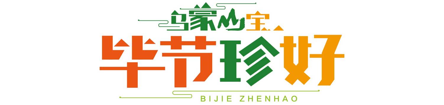 畢節(jié)珍好.jpg